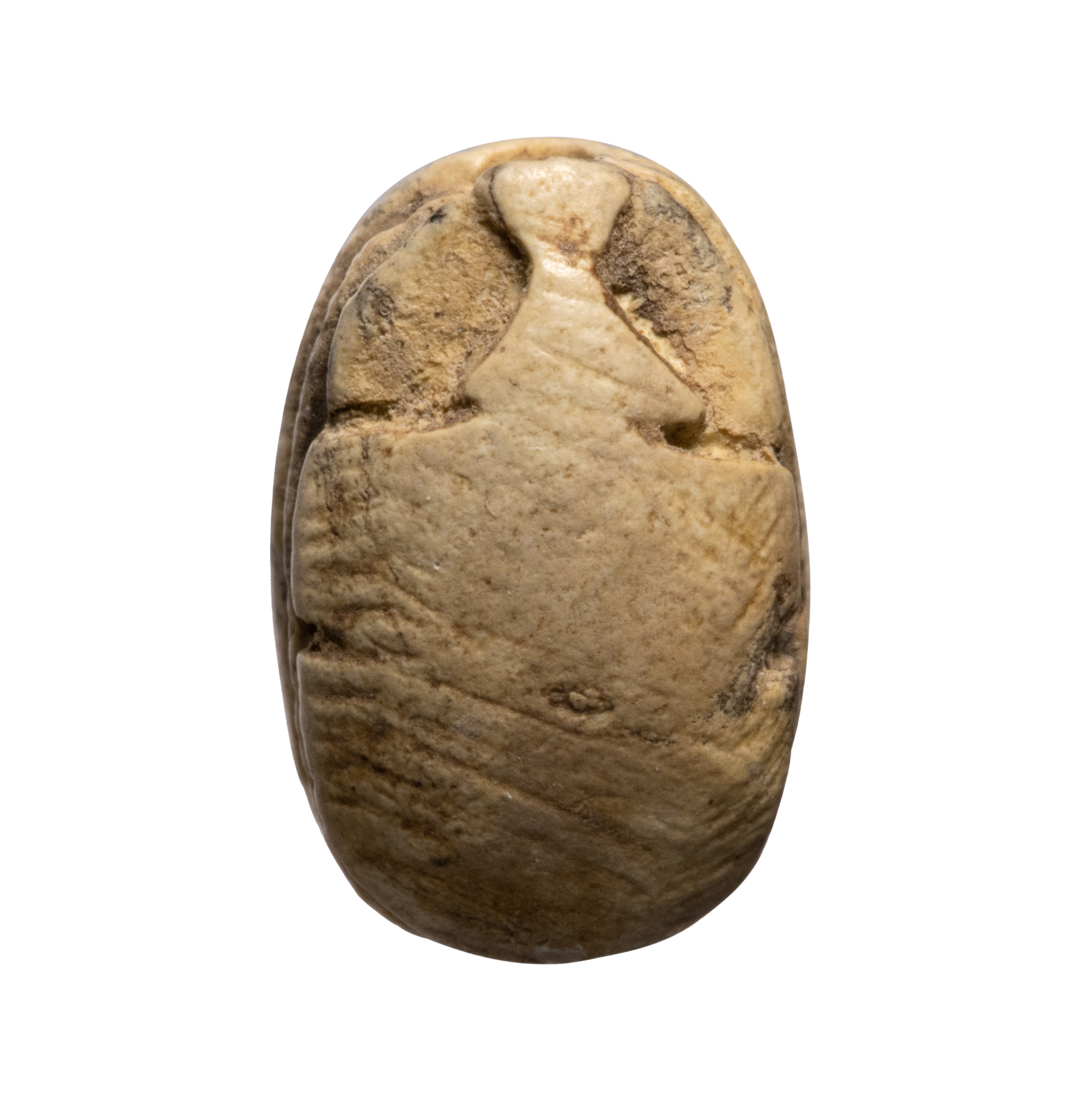 New-Kingdom, A New-Kingdom steatite glazed scarab. Hand. (1550-1070 BCE)