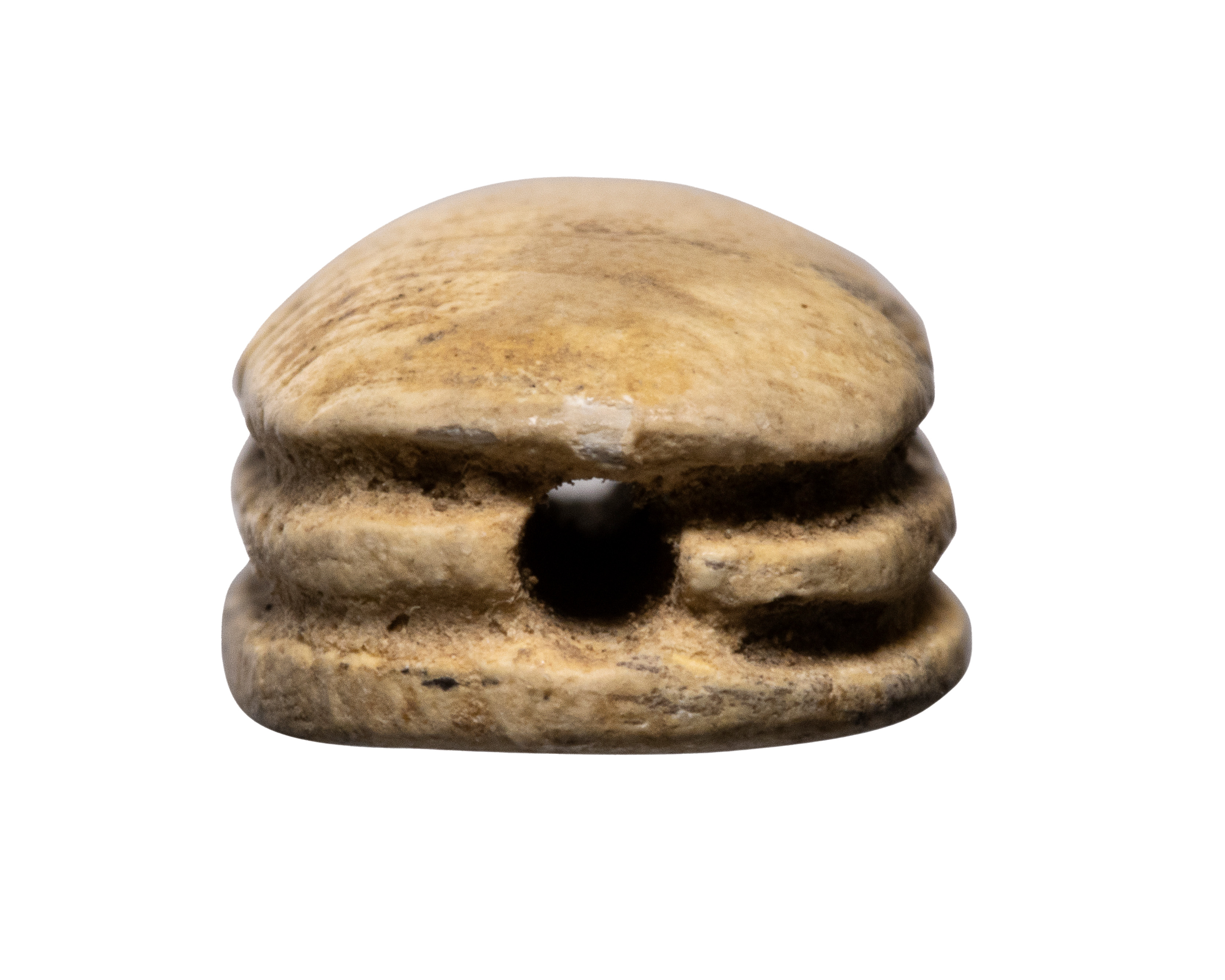 New-Kingdom, A New-Kingdom steatite glazed scarab. Hand. (1550-1070 BCE)